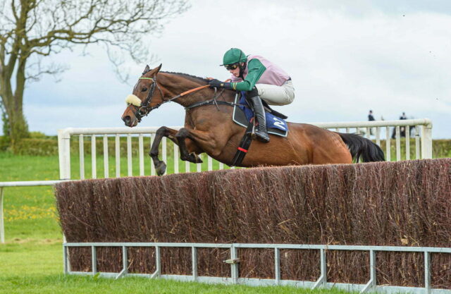 Jack Andrews winning on Al Shahir