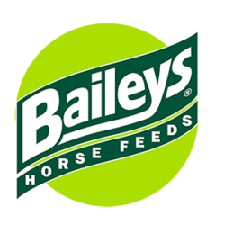 Baileys Logo