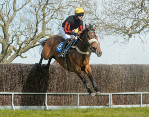 LARGY MOUNTAIN (James King)