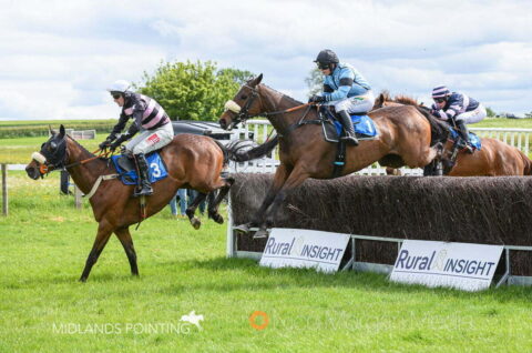 AL SHAHIR (Gina Andrews)