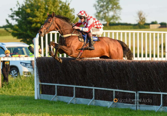 COURTLY LOVE (Paddy Barlow)