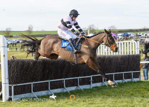 Premier Magic (Bradley Gibbs)