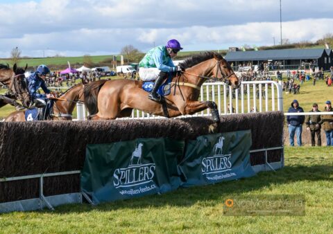 LAW OF GOLD (Dale Peters)