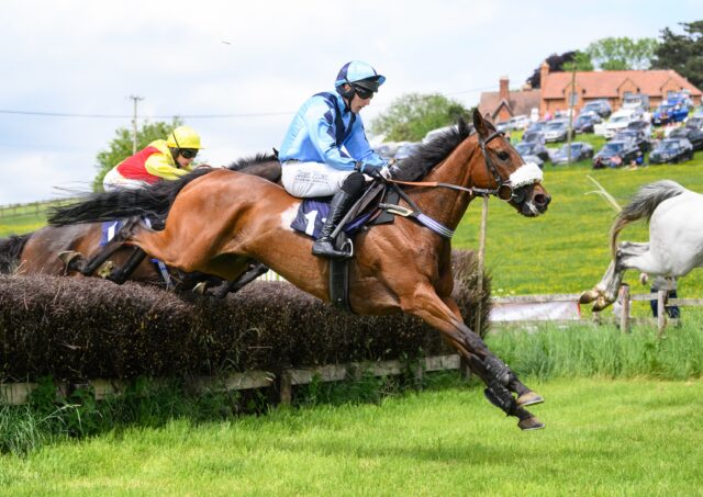 Gina Andrews and Not That Fuissse