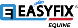 Easyfix Logo