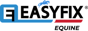 Easyfix Logo