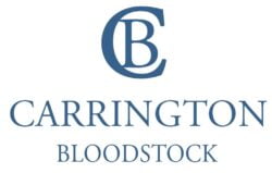 Carrington Bloodstock logo
