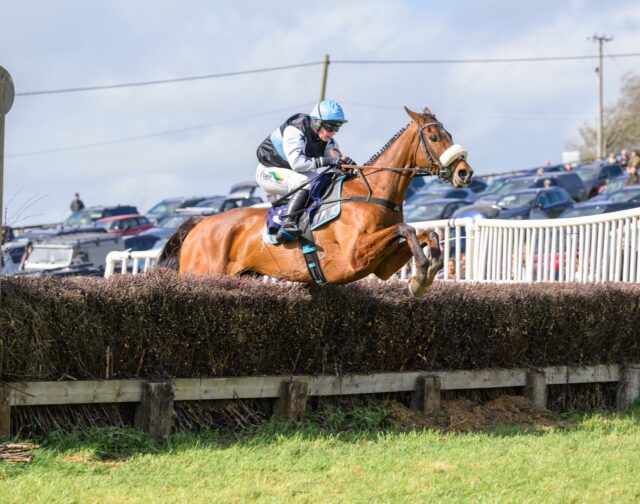 CHEYTAC (GIna Andrews)