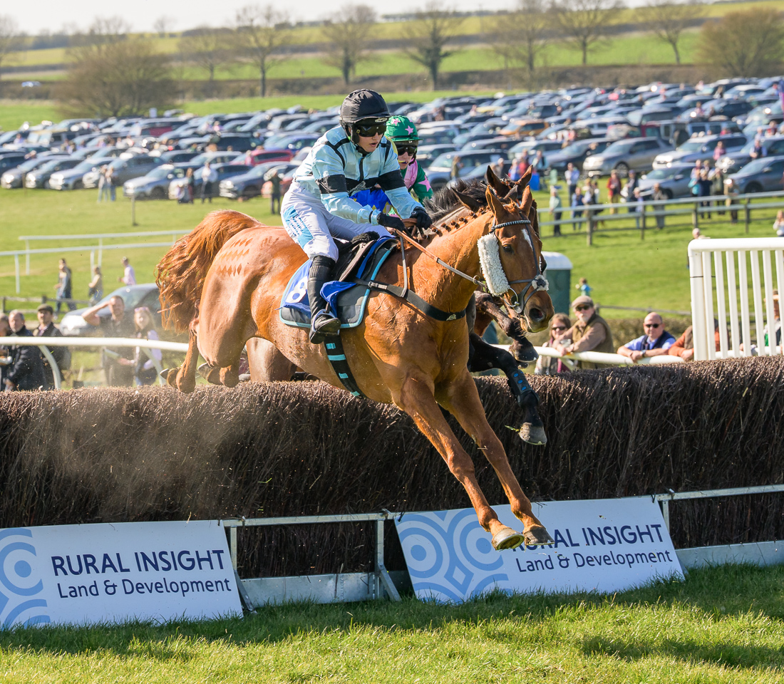 YOUNG RICH (Molly Legg)