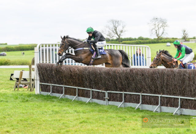 CARYTO DES BROSSES (Dale Peters)