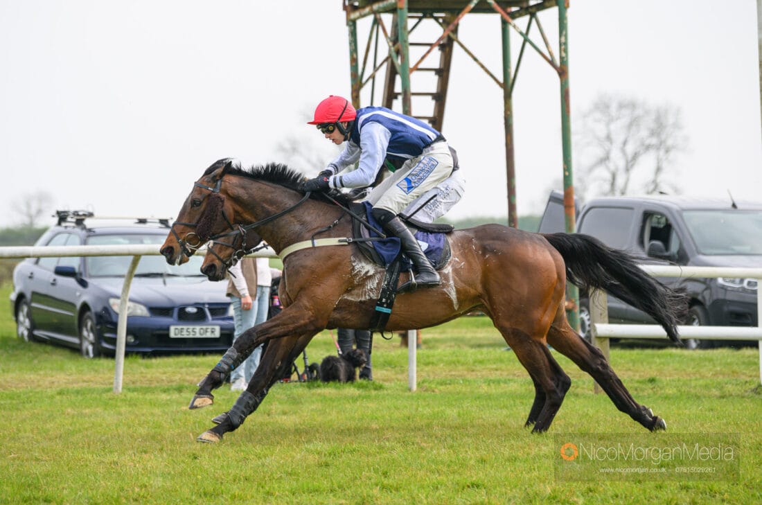 LIFT ME UP (Jack Andrews) and CARYTO DES BROSSES (Dale Peters)
