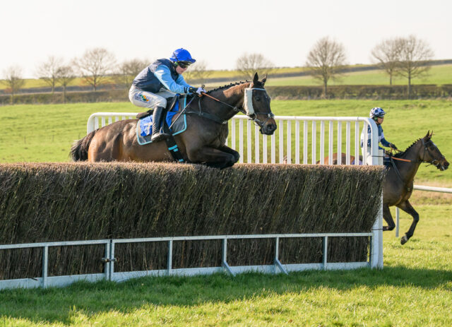 FUMET D'OUDAIRIES (Gina Andrews)