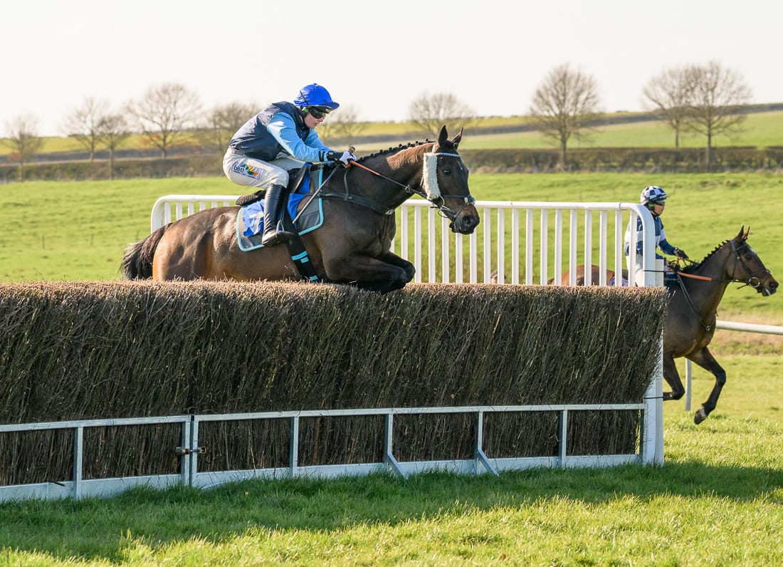 FUMET D'OUDAIRIES (Gina Andrews)
