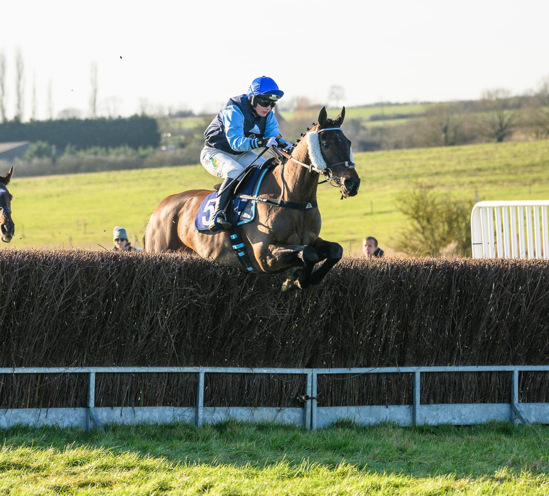 MASTER TEMPLAR (Gina Andrews)