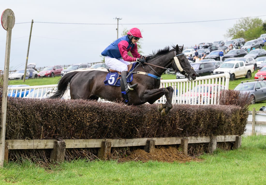 TOSS AGAIN (John Morrey)