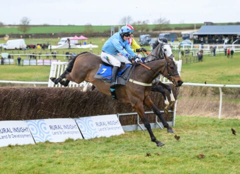 Havock (Gina Andrews) winning the maiden at Garthorpe